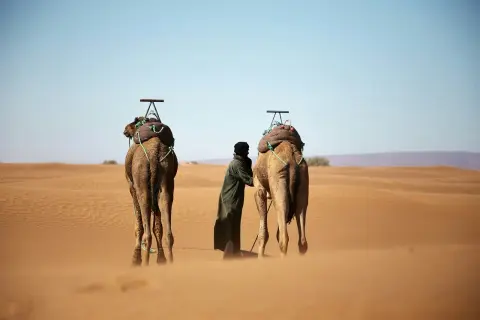 M’Hamid Desert Trek: Why This Is One of Morocco’s Most Authentic Sahara Experiences