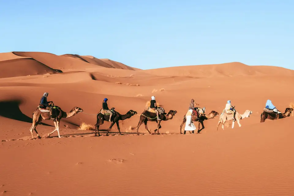 Sur de Marruecos en invierno: Marrakech, Essaouira, Taroudant, Foum Zguid — 10 días