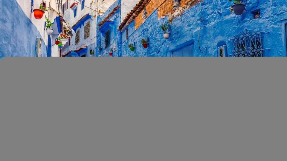 Narrow blue-painted alley with steps and plants in Chefchaouen Medina