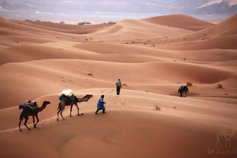 Imperial Cities & Sahara: A Realistic 10-Day Morocco Itinerary