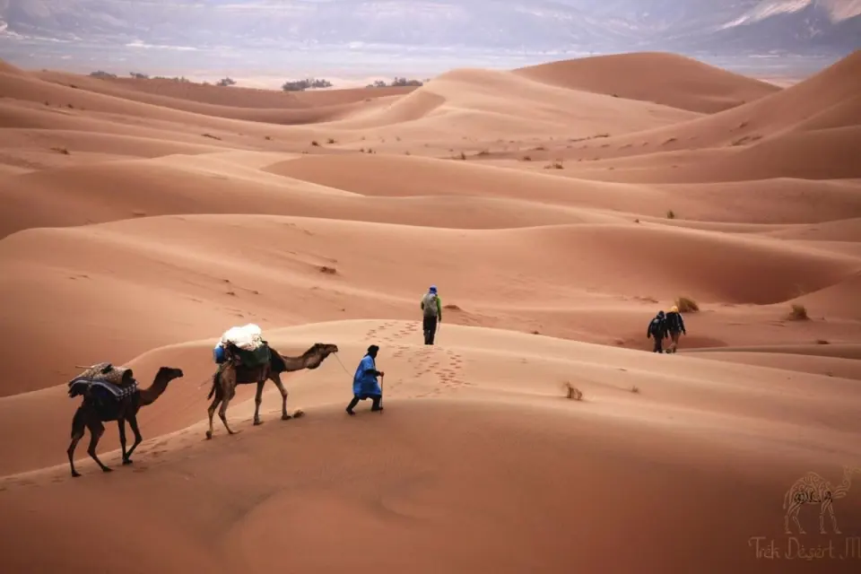 Imperial Cities & Sahara: A Realistic 10-Day Morocco Itinerary