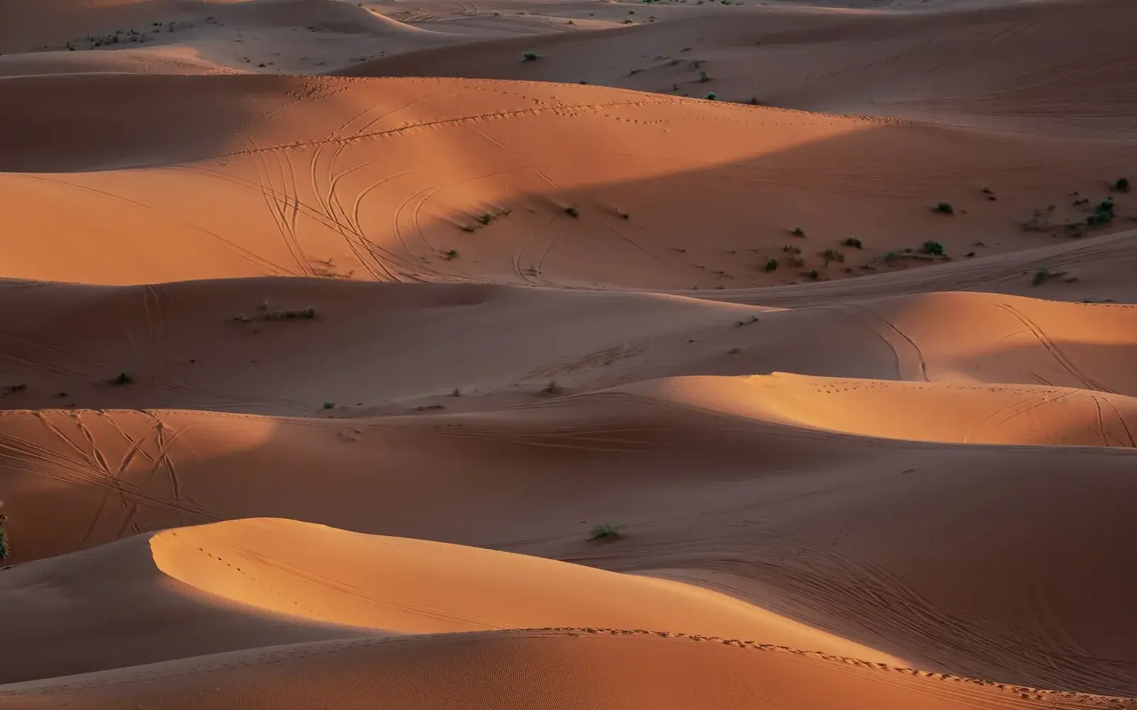 Golden Erg Chebbi dunes near Merzouga in the late desert light