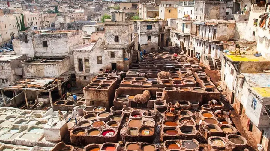 Tanneries Chouara – Fès
