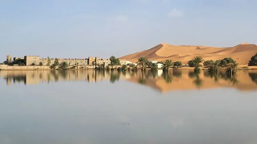 Palm gardens at Hassi Labied near the Erg Chebbi dunes