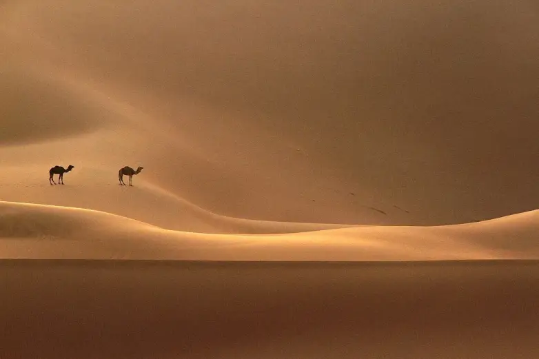 Von Marrakesch in die Sahara: Eine Wüstenreise sinnvoll planen
