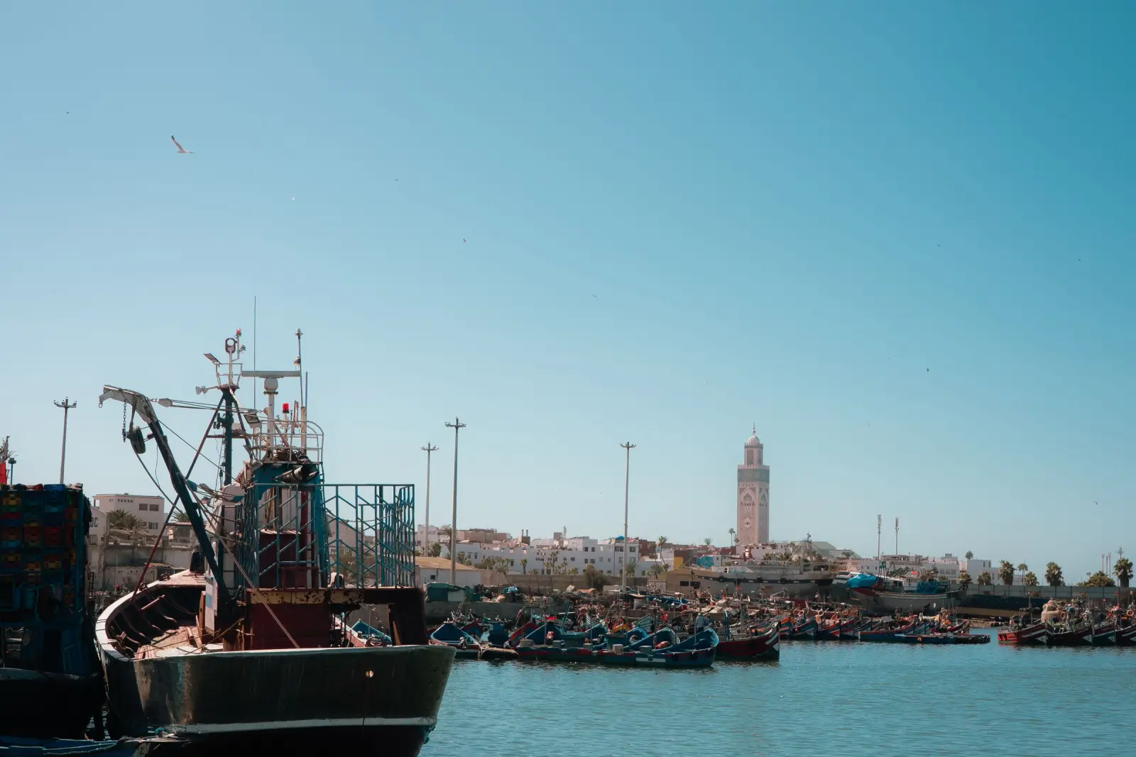 Essaouira on a 10-day DesertBrise Travel journey