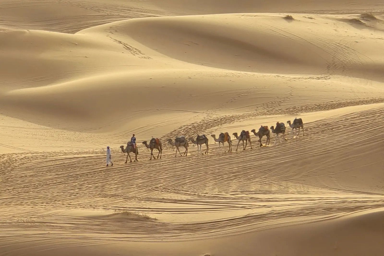 Sahara near Erfoud durante un viaje DesertBrise Travel de 10 días