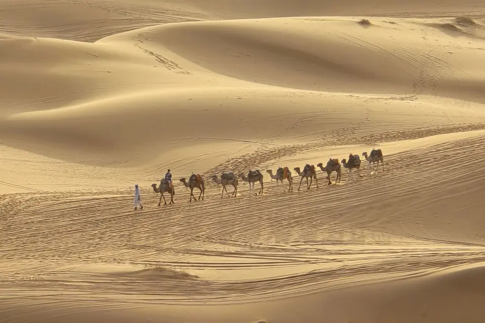 Culture, Sahara & Atlas Trails: Casablanca, Volubilis, Meknes, Fes — 10 Days
