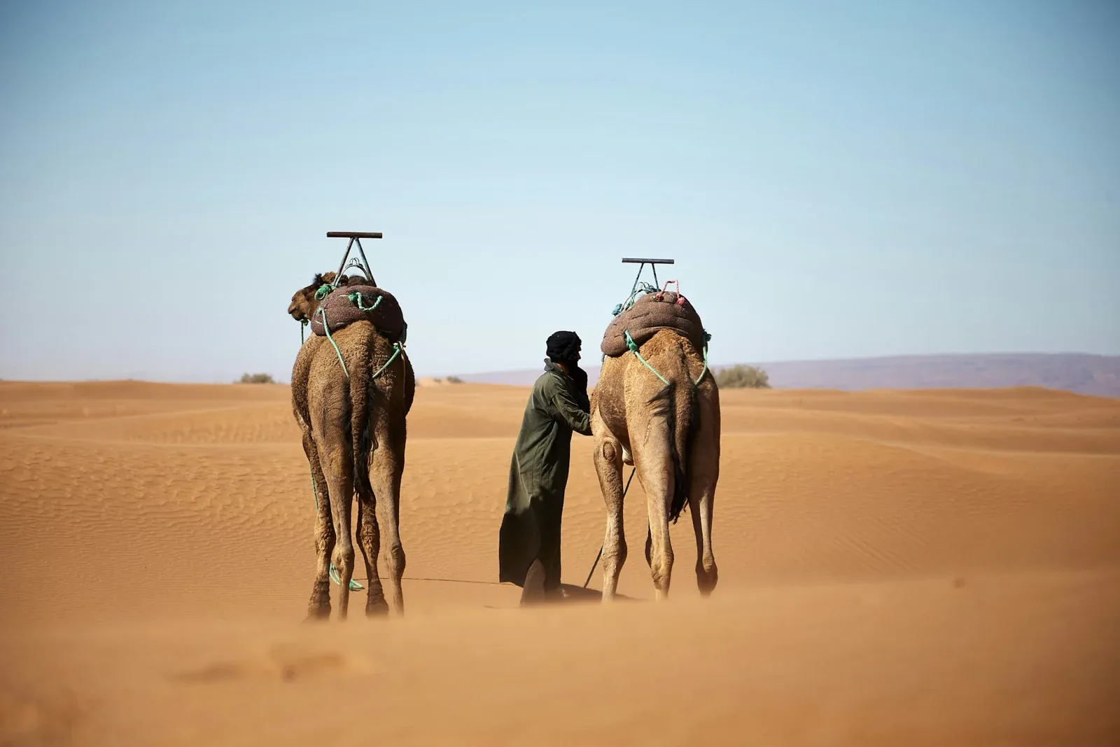Trek à M’Hamid : comprendre le Sahara au-delà d’une nuit dans les dunes