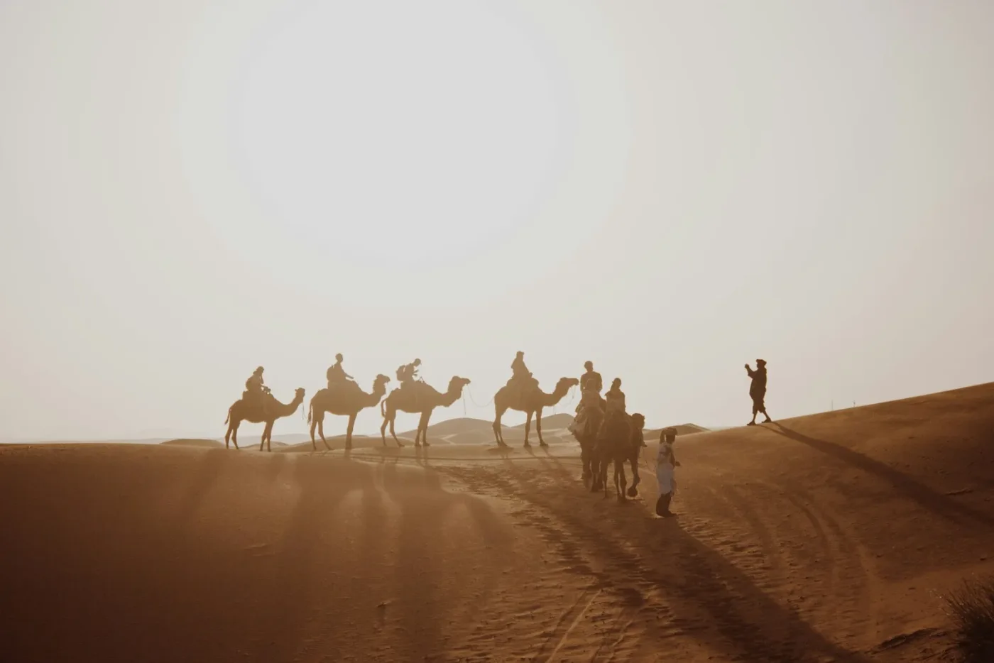 Reisende auf Dromedaren in einer Reihe über Dünen bei Merzouga