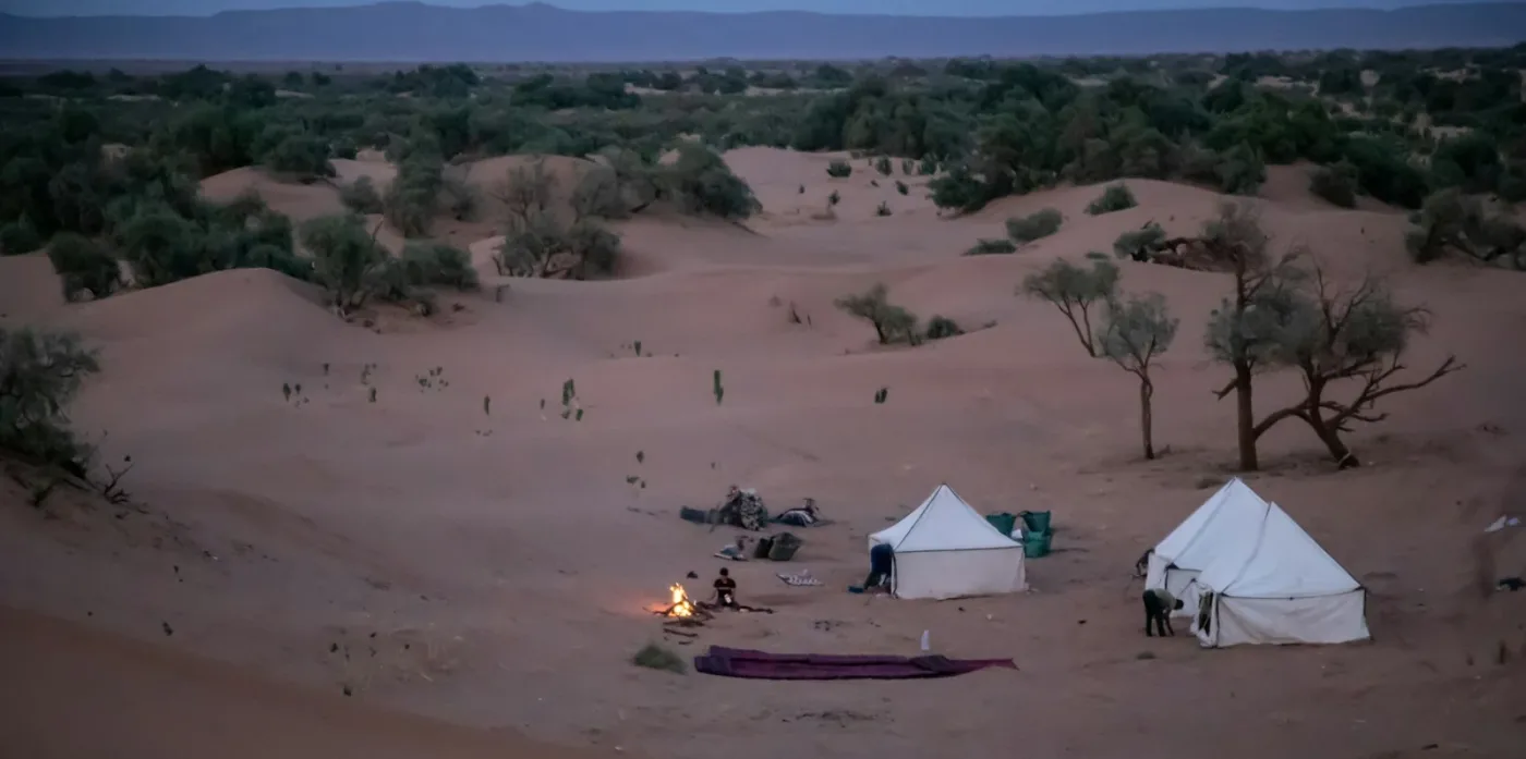 Small desert camp with white tents at dusk in M’Hamid