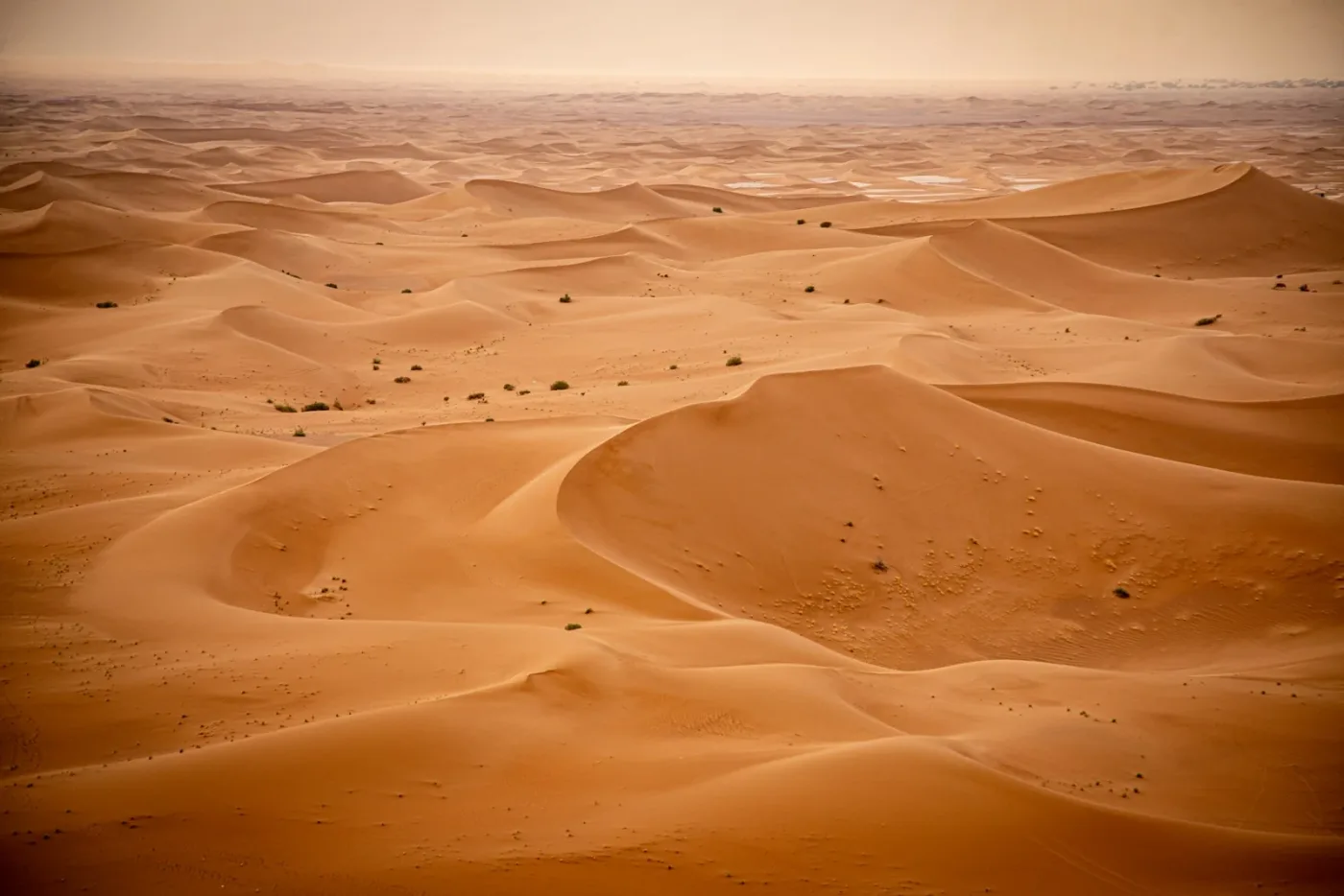 Sand dunes in the Zagora region