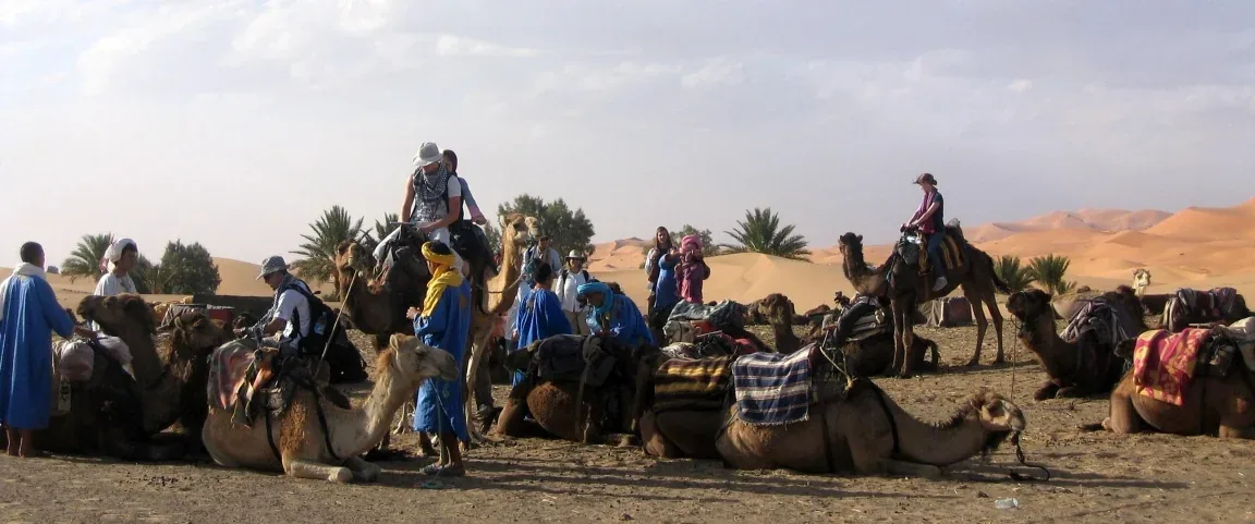 Travelers preparing camels for an excursion near M’Hamid