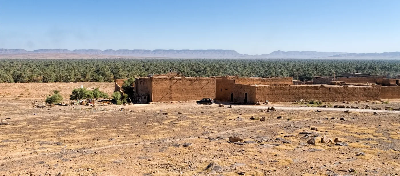 Palm grove and earth-built settlement in the Draa Valley
