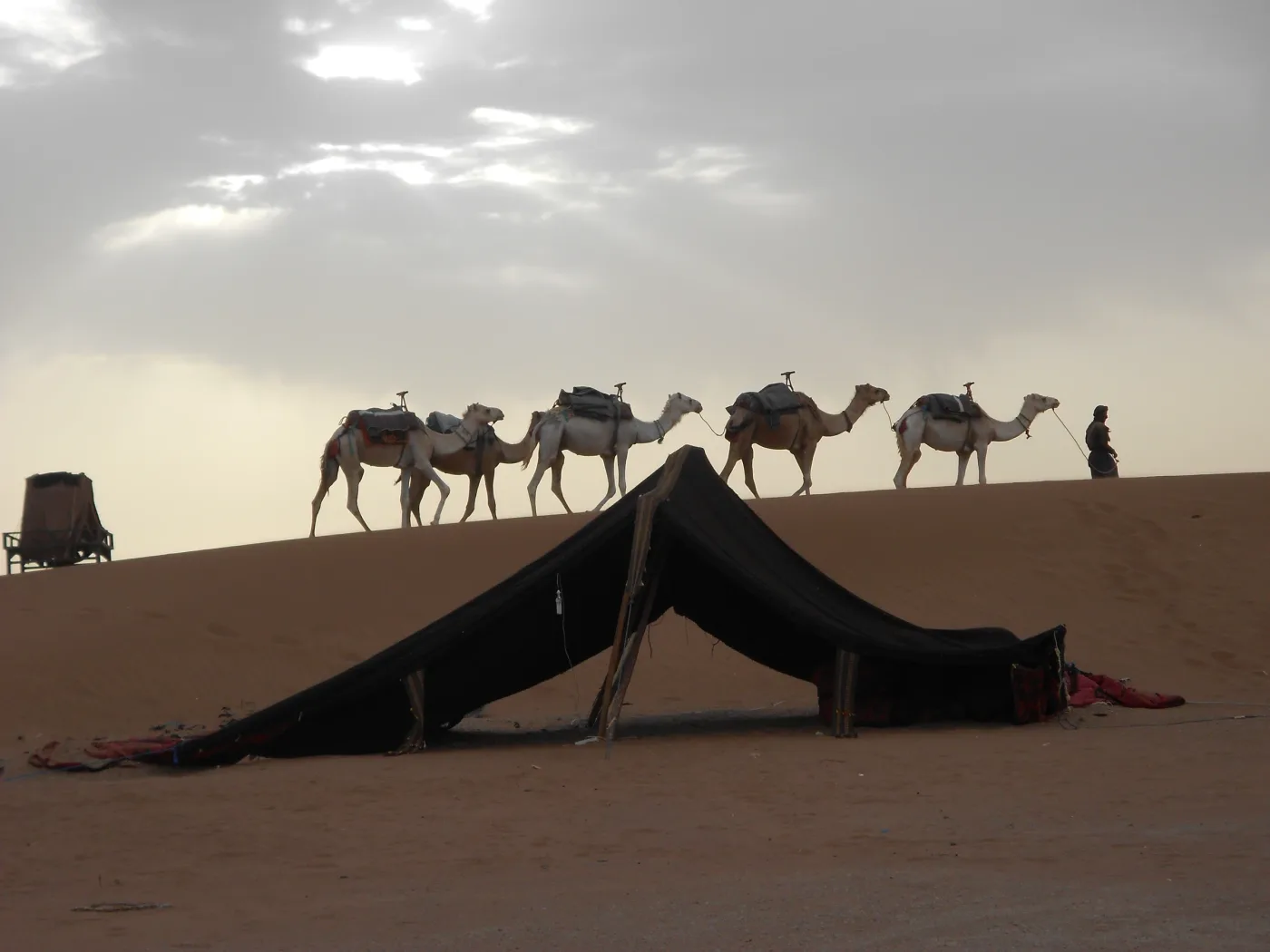 Archival photograph of a camp and dromedaries identified as Erg Chegaga by the source; not the booked accommodation