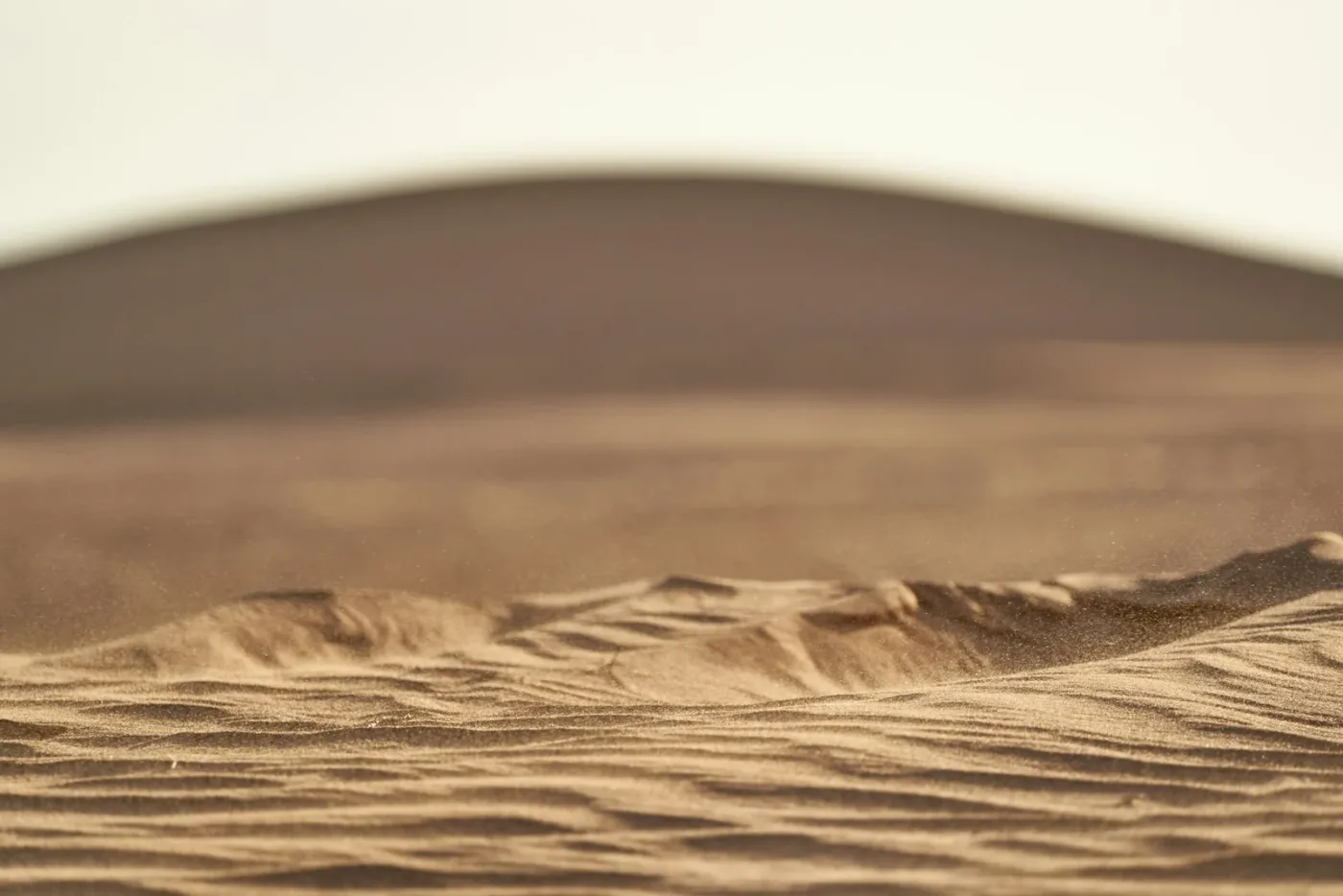 Vent soulevant du sable au bord d’une dune