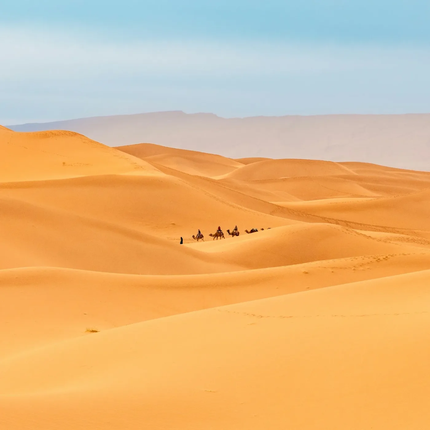 Caravane de dromadaires sur les dunes de l’Erg Chigaga