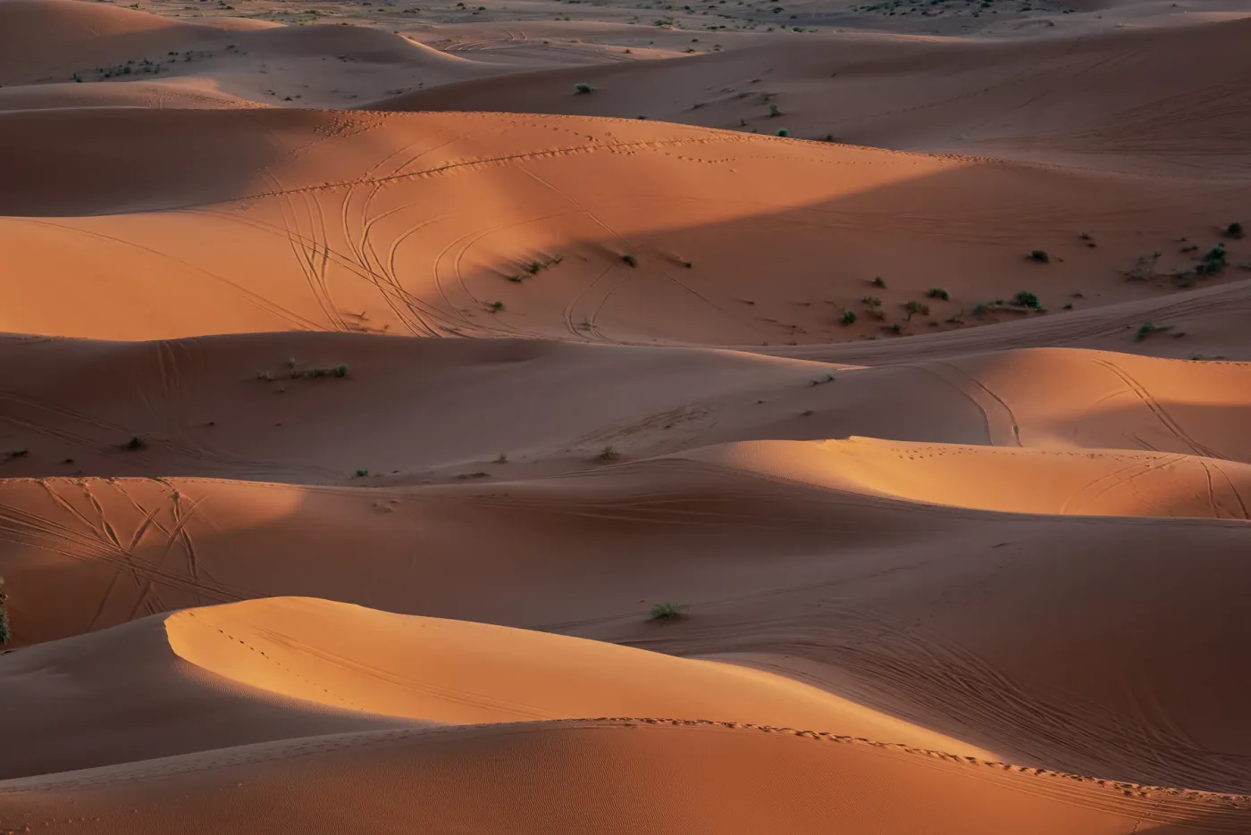 Luce serale sulle dune di Erg Chebbi presso Merzouga