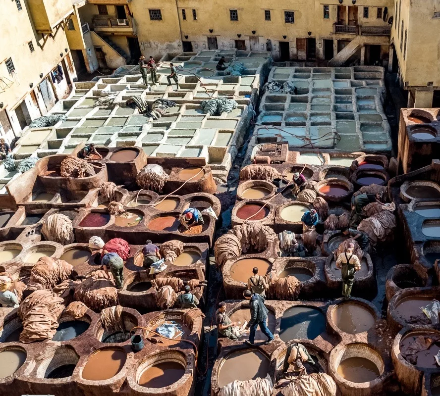 Explore Medieval Fes