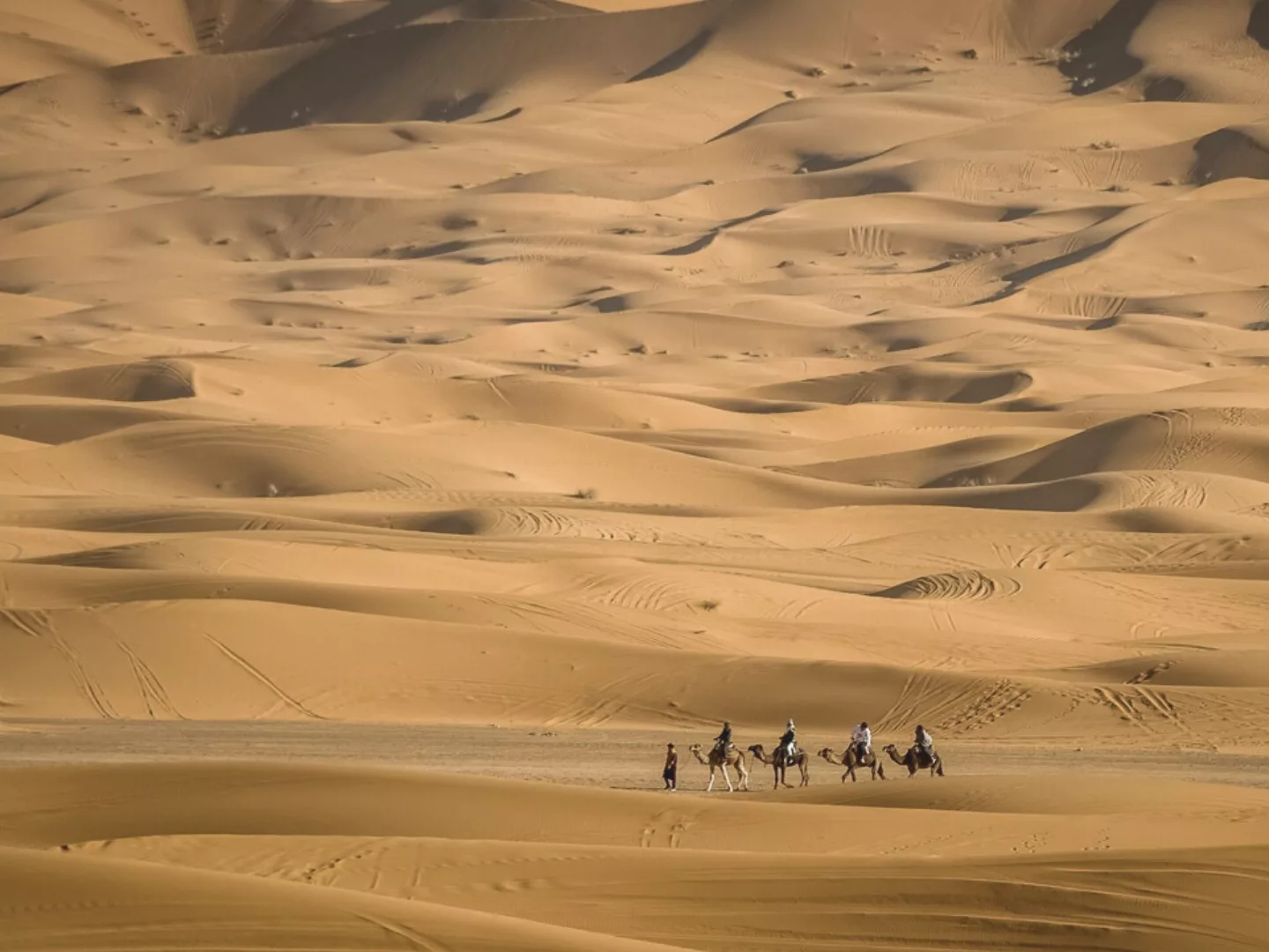 Dades Valley to Merzouga via Todra Gorge, Erfoud, and the Sahara Gateway