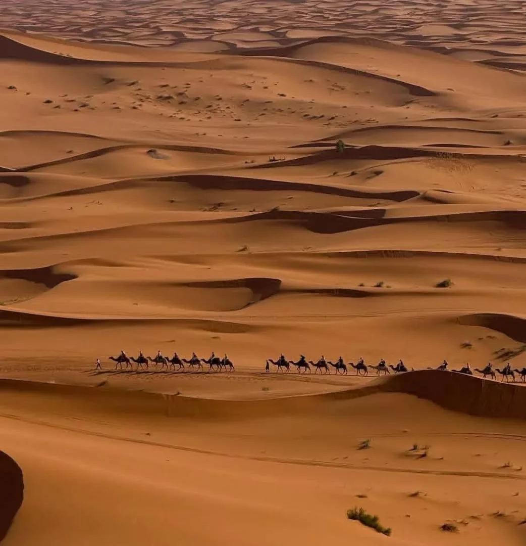 Boumalne Dades to Erg Chebbi via Todra Gorge, Erfoud, Rissani, and Merzouga