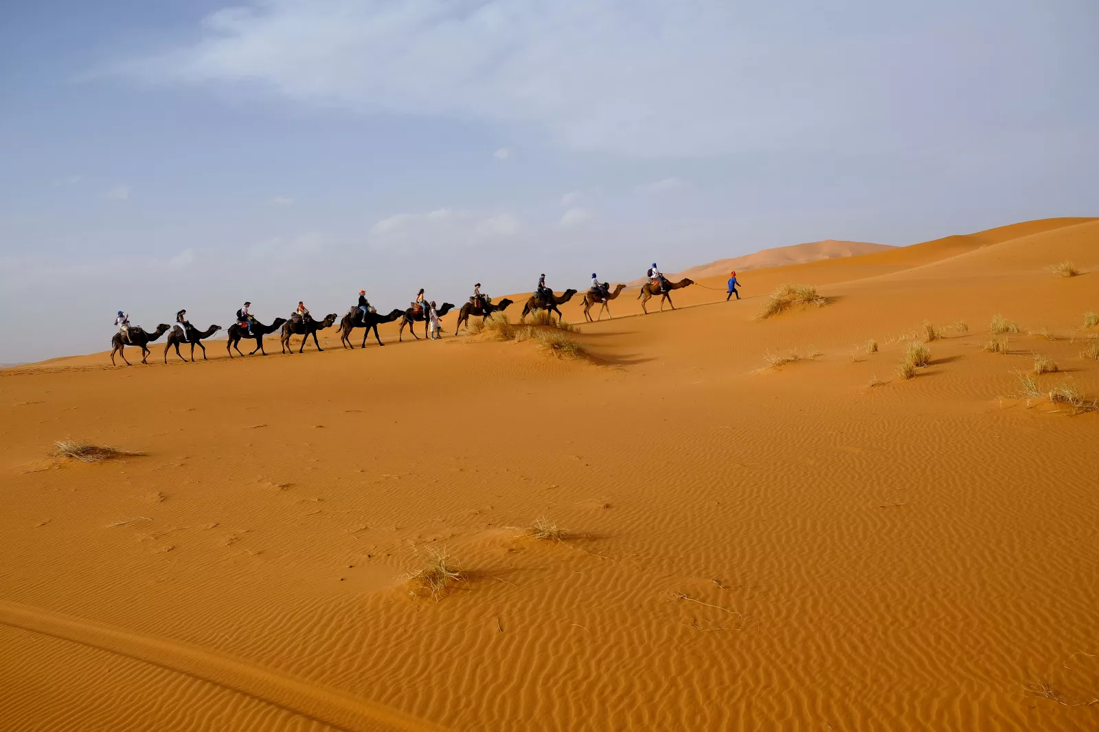 Fes to Merzouga and Erg Chebbi via the Middle Atlas, Midelt, Ziz Valley, and Erfoud