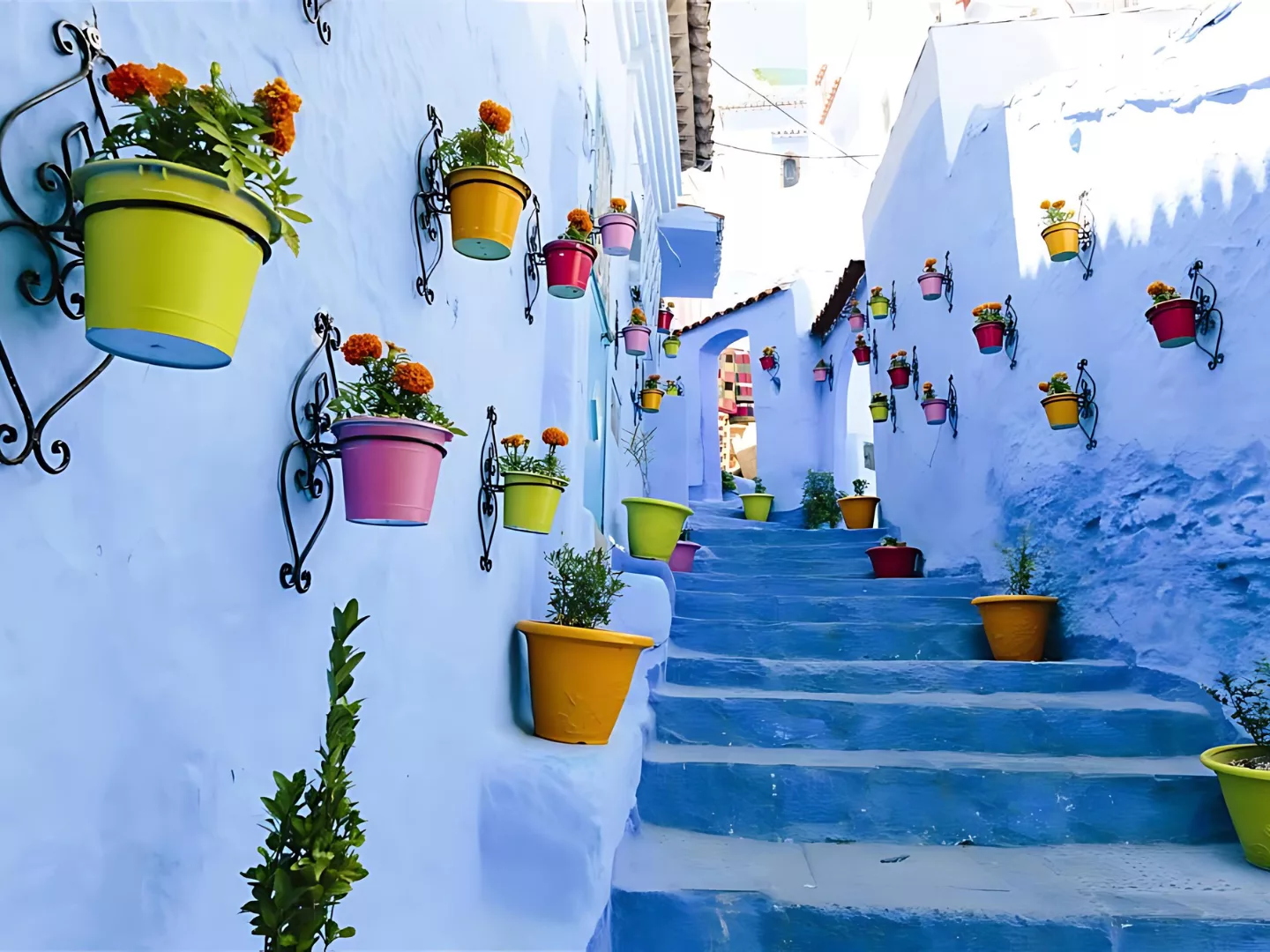 Arrive in Tangier and Travel to Chefchaouen in the Rif Mountains
