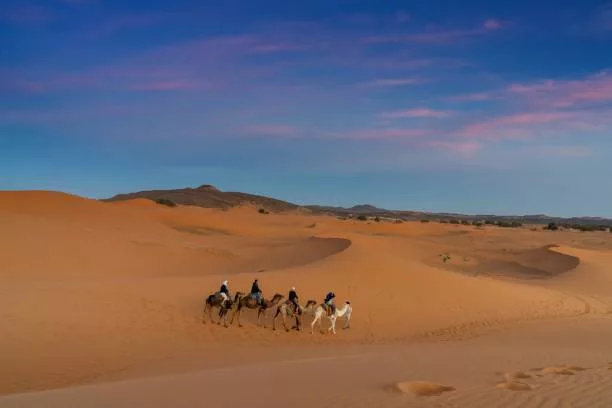 Travel to Merzouga via the Middle Atlas, Midelt and Erfoud