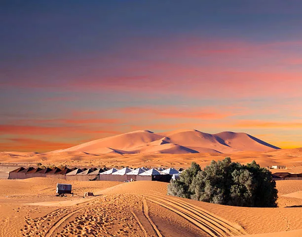 Desert Safari Adventures around Merzouga