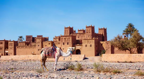 Walk in Skoura Oasis and Have Lunch with a Local Family