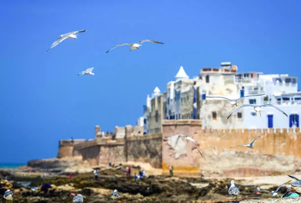 Travel to the Coast and Explore Essaouira