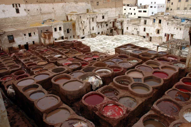 Explore the Imperial City of Fes