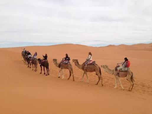 Over the Middle Atlas to the Desert: Erfoud, Merzouga and the Sahara