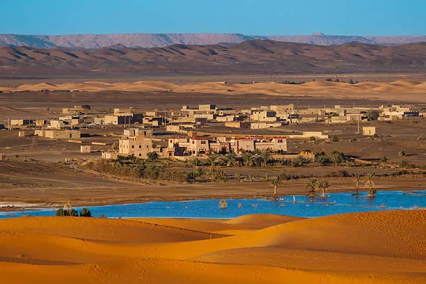 The Edge of the Sahara and Fossil Workshops