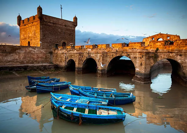 Argan Oil and Seafood in Essaouira