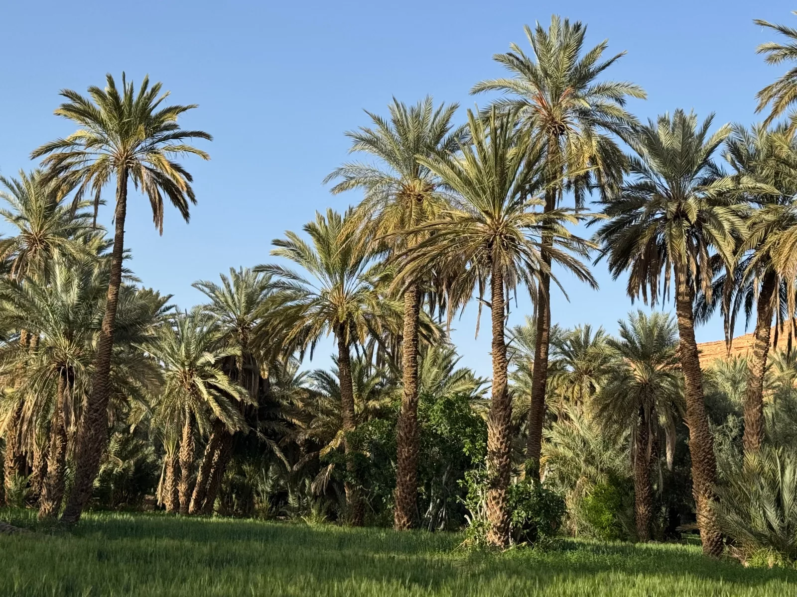 Drive to Zagora via the Saghru Mountains and Draa Valley