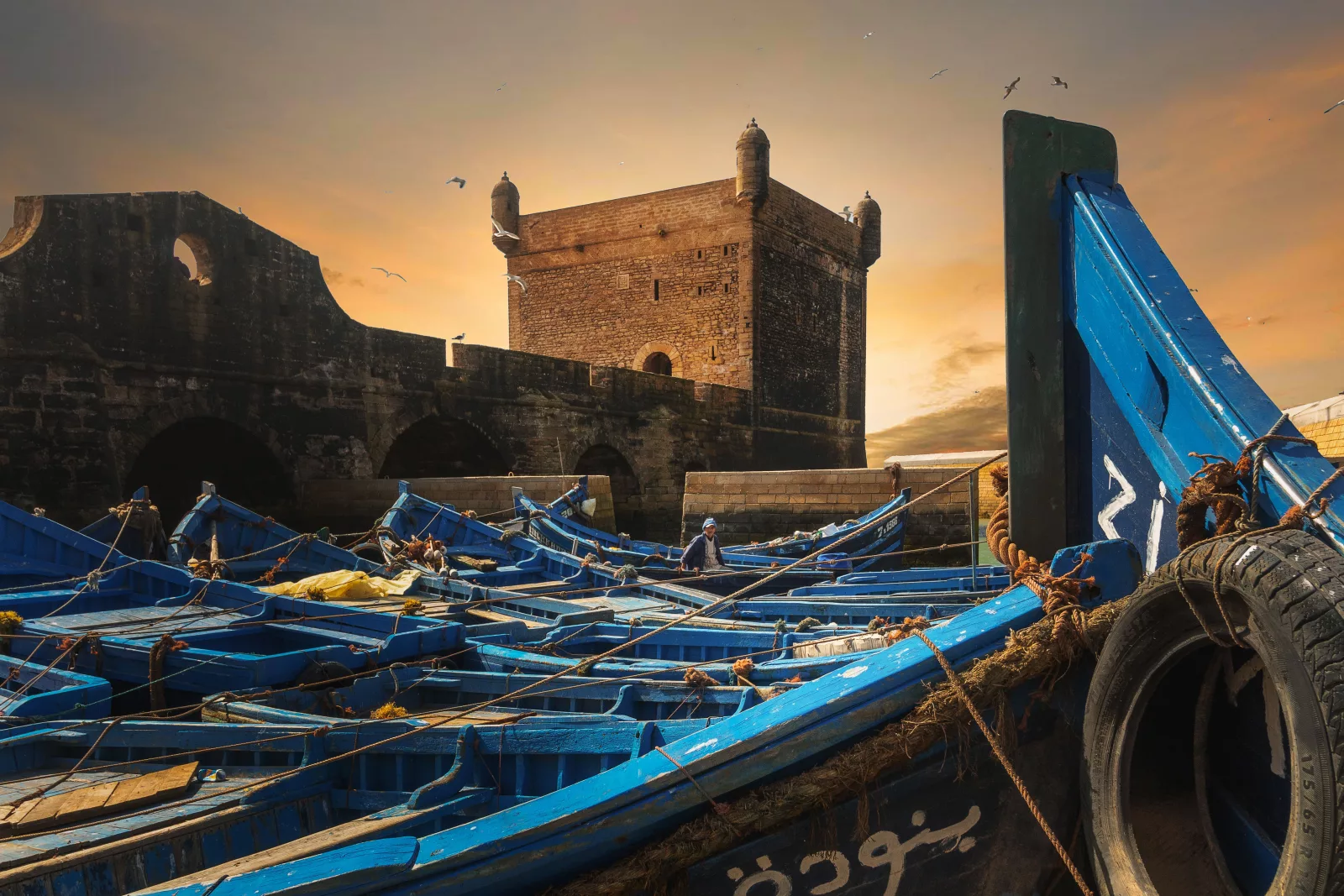 Enjoy the Coast in Essaouira