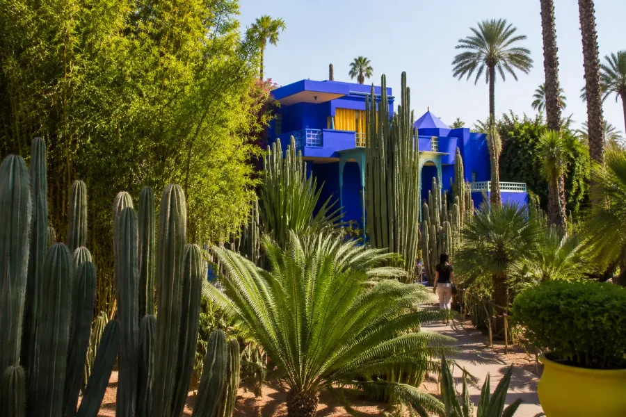 Villa bleue et végétation tropicale du Jardin Majorelle