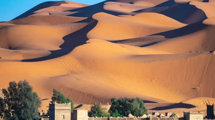 Wind-shaped golden dunes of Erg Chebbi near Merzouga