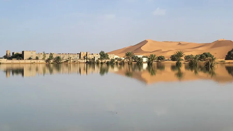 Palm gardens at Hassi Labied near the Erg Chebbi dunes
