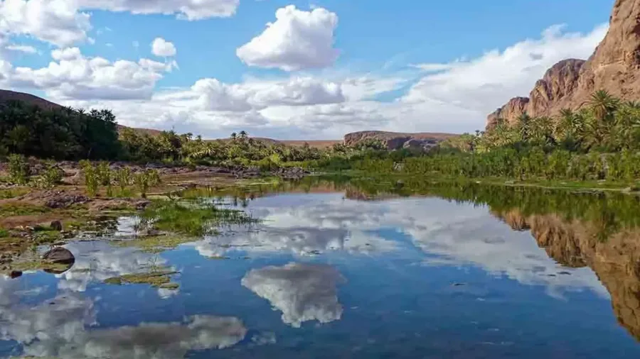 Green Fint Oasis surrounded by rocky desert near Ouarzazate