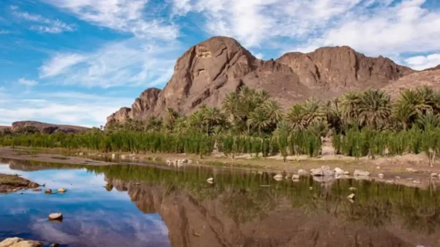 Date palms and earthen village beside water at Fint Oasis near Ouarzazate
