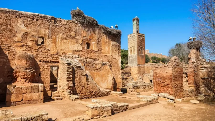 Historic brick ruins, tower and stork nests at Chellah in Rabat