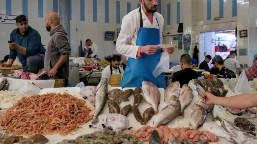 Fresh seafood displayed at Tangier's central fish market