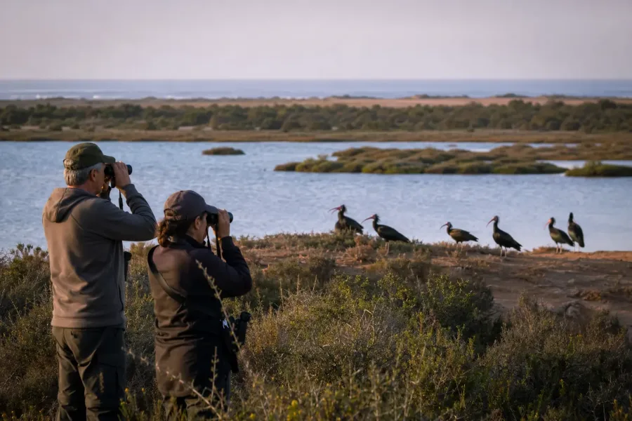 Scoprire il Parco nazionale di Souss-Massa Agadir