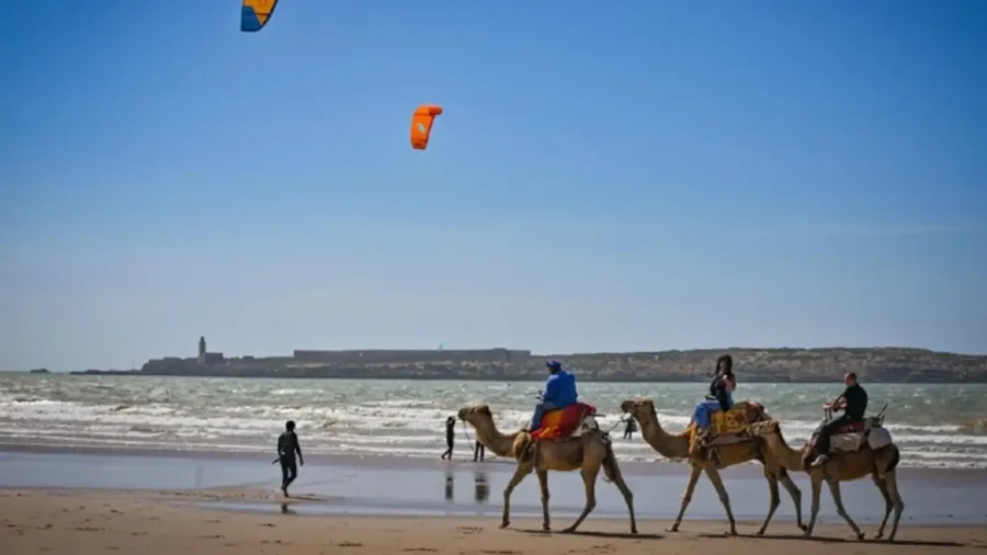 Surfen oder Kitesurfen lernen – Essaouira