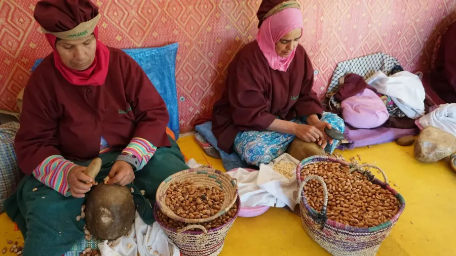 Eine Argan-Kooperative besuchen – Essaouira