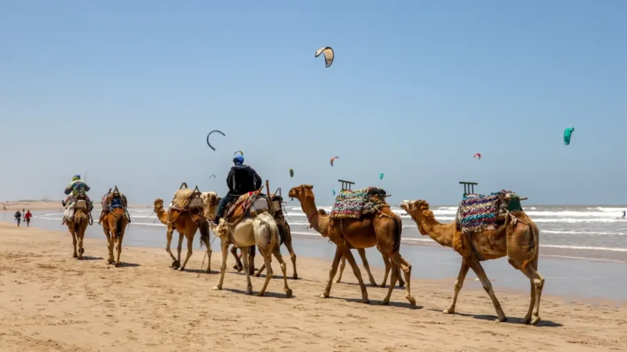 Strand von Essaouira – Essaouira