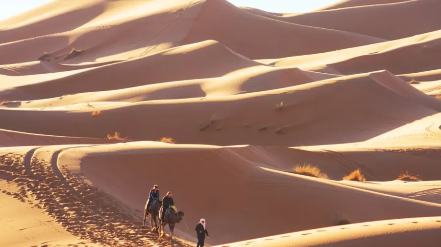 Trekking in dromedario su Erg Chebbi – Merzouga
