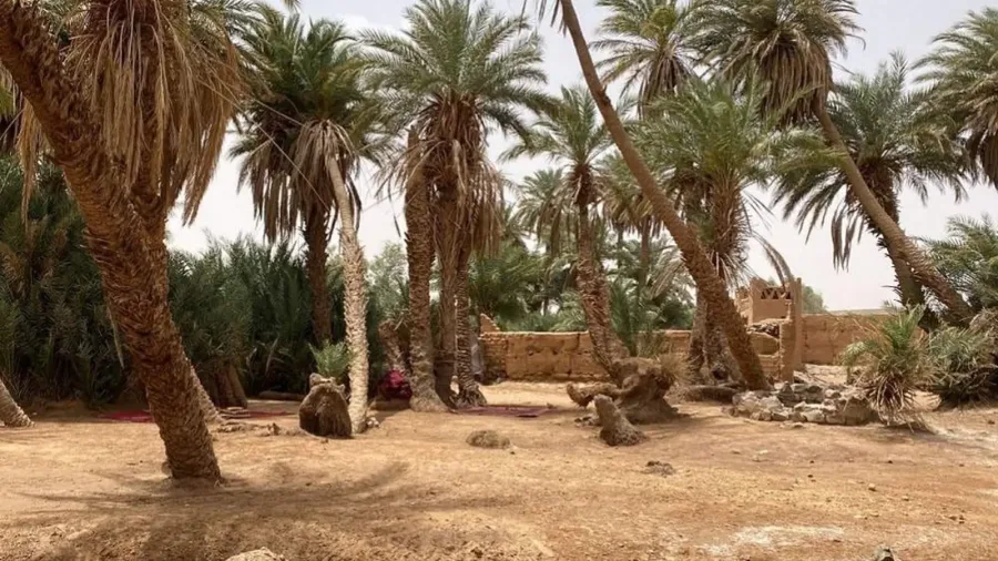 Heilige Oase Oum Lalaag – M'Hamid El Ghizlane